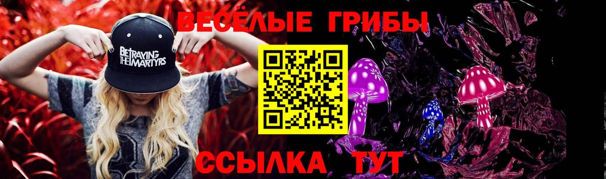Галлюциногенные грибы мухоморы  где купить   Сальск  Вход с VPN 